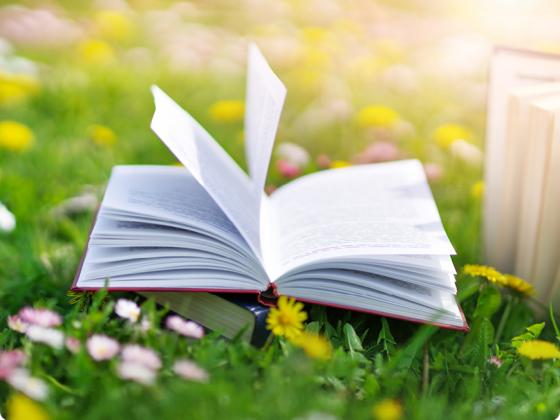 10 recomendaciones para el Día del Libro: las lecturas más esperadas del año