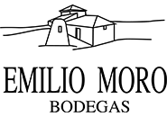 Vino