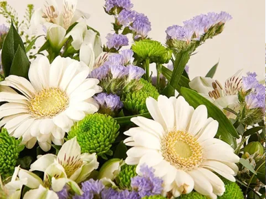 FloraQueen